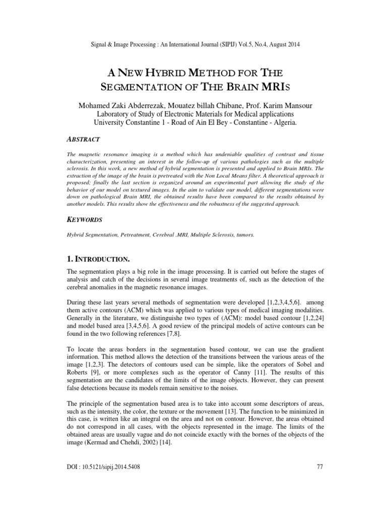 A New Hybrid Method For The | PDF | Image Segmentation | Magnetic ...