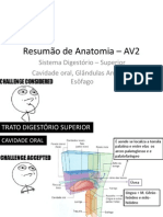 Resumão de Anatomia - AV2