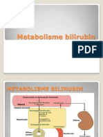 Metabolisme Bilirubin