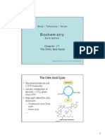 TCA cycle