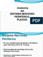 6-Anatomia Sistema Nervioso Periferico