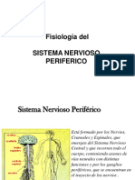 7 Fisiologia Sistema Nervioso Periferico