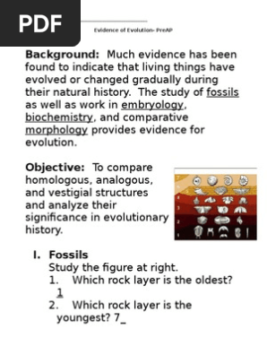 Evidence of evolution worksheet answer key