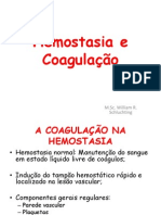 Hemostasia, Coagulação e Fibrinólise