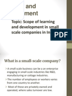 Training and Development: Topic: Scope of Learning and Development in Small Scale Companies in India