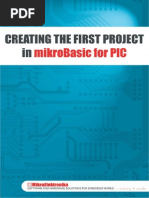 1st Project Pic Basic v101