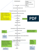 Pathophysiology Scleroderma