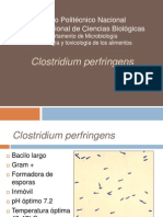 Clostridium Perfringens Eq 27