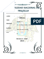 Segundo Examen Opema 2014 - Chico Picasso Walter