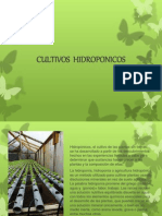 Diapositivas Hidroponicos