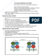 Complejo de Histocompatibilidad Mayor 2