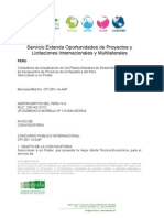 06-02 Peru Consultoria Aeropuertos