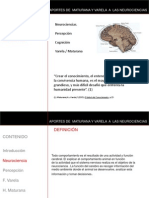 neurocienciasaportesdevarelaymaturana-090917112912-phpapp02