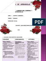 Sesion de Aprendizaje La Planta y Sus Partes