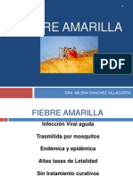 Fiebre Amarilla