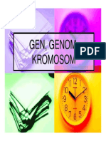 Gen, Genom, Kromosom