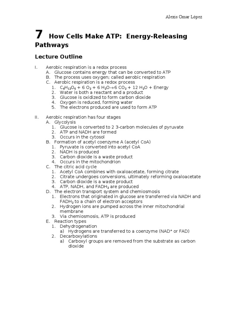 ATP Production in Aerobic Respiration | PDF | Adenosine Triphosphate ...