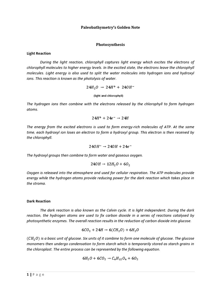Significance of meiosis pdf image