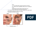 Gangguan fungsi tuba eustachius.doc