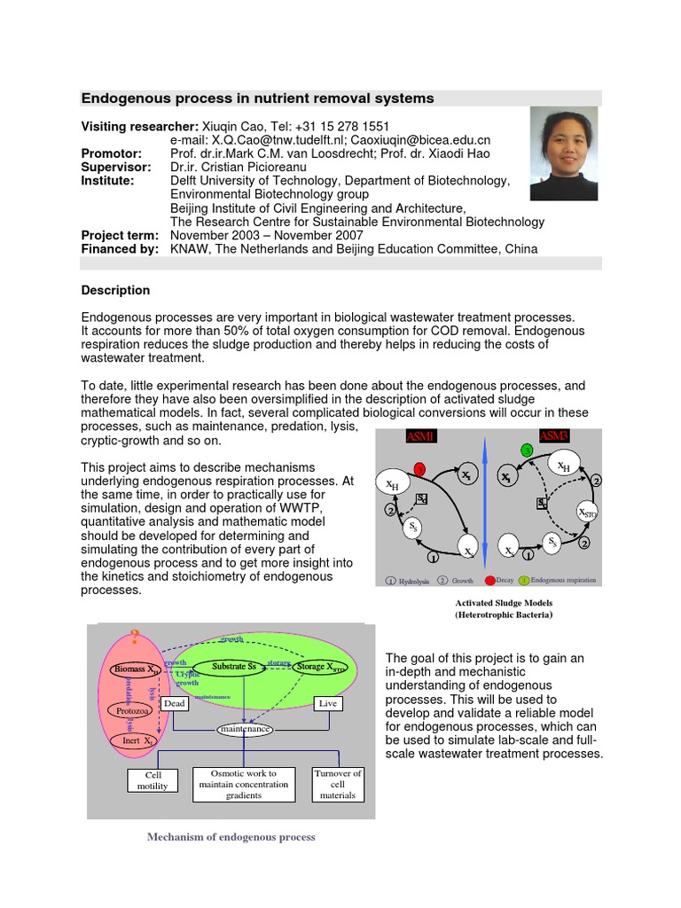 Endogenetic process essay 04 picture