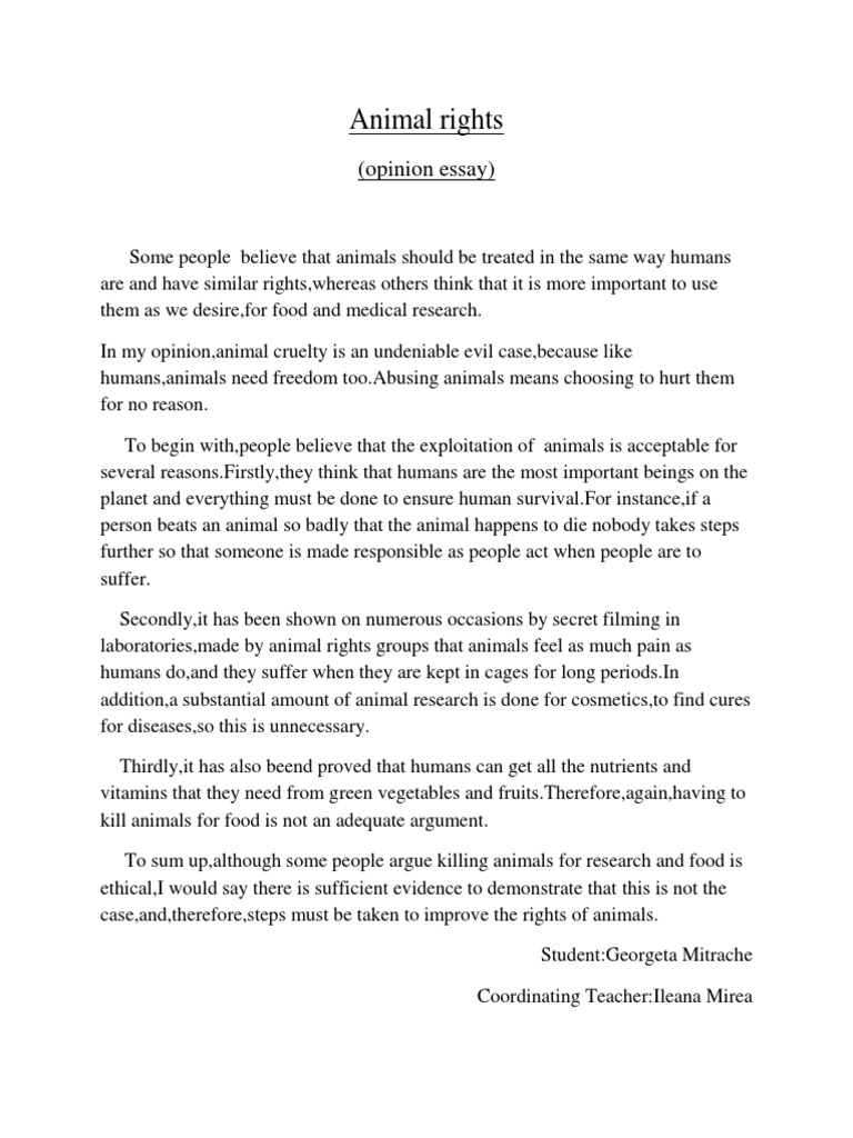 Реферат: Animal Rights Essay Research Paper One of