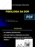 Fisiologia Da Dor: Disciplina de Fisiologia Veterinária