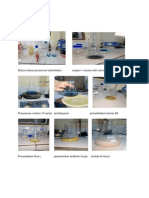 Download Penetapan Kadar Karbohidrat Dengan Metode Luft Schoorl by Eka Andrian SN240031208 doc pdf