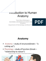 Introduction to Human Anatomy