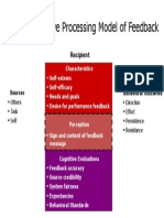 Cognitive Processing Model of Feedback