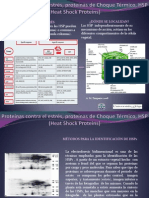 Proteínas Contra El Estrés, Proteínas de Choque