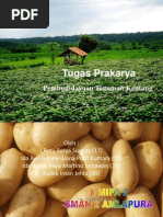 Download Tugas Prakarya Pembudidayaan Kentang by coralint SN240035596 doc pdf