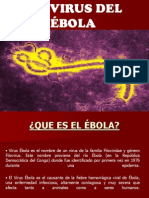 Virus Ébola: causas, síntomas y brotes