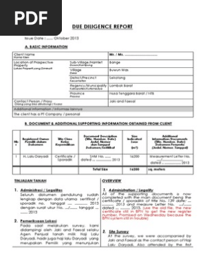 Due Diligence Report