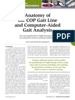 Anatomy of A COP Gait Line and Computer Aided Gait Analysis