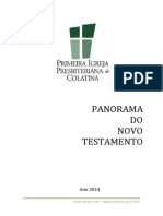 Apostila Panorama Biblico Do NT 2014 PIPC PDF