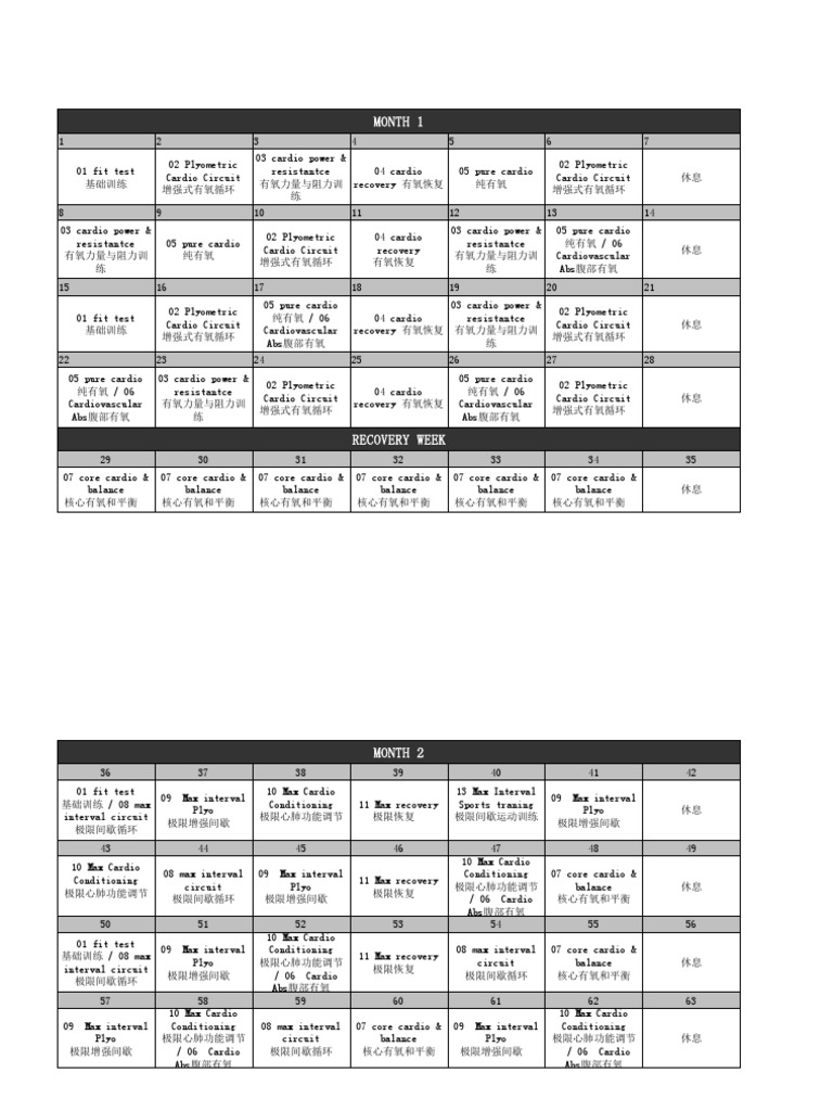 Insanity 63 pdf