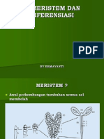 Pt.3 Meristem Dan Diferensiasi