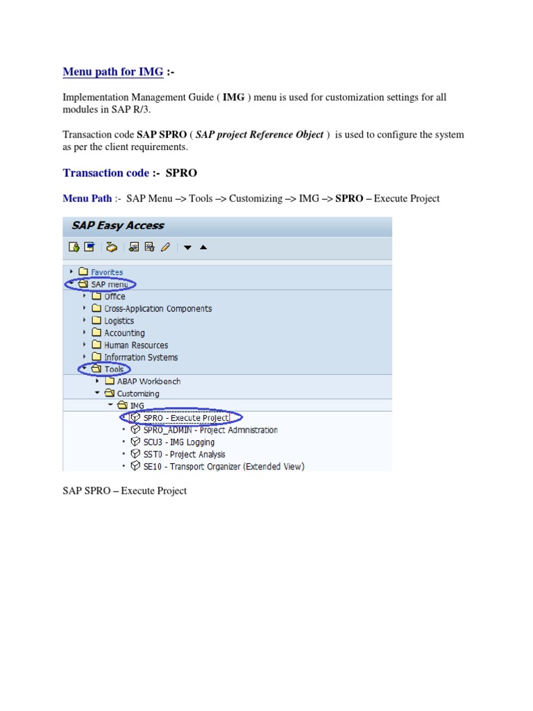 SAP SPRO Customization Guide | PDF | Business | Technology & Engineering