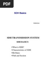 SDH Basics: Girish Jere