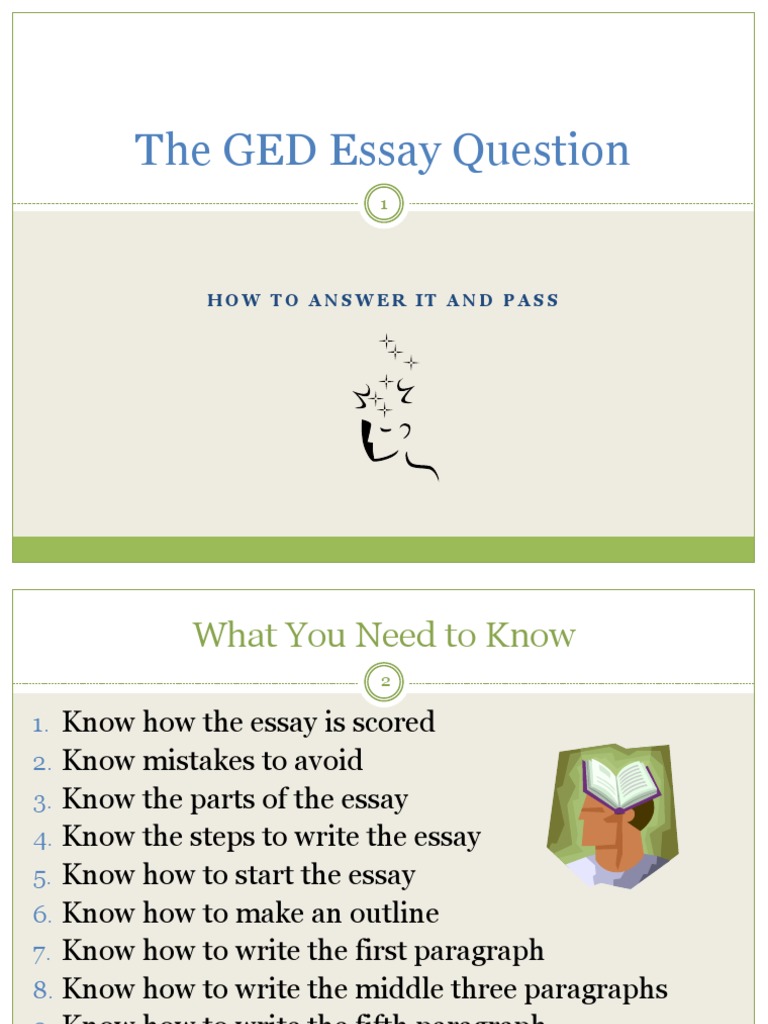 My dog, romeo 5 paragraph essay image