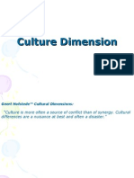 Culture Dimension