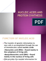 Nucleic Acids and Protein Synthesis PDF