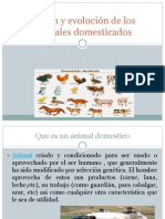 Origen y Evolución de Los Animales Domesticados