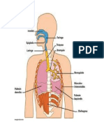 ciencias naturales