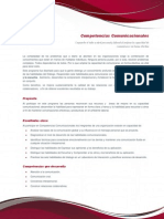 Competencias Computacionales