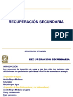 4.introduccion A La Recuperación Secundaria