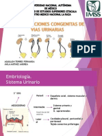 Malformacione Uro