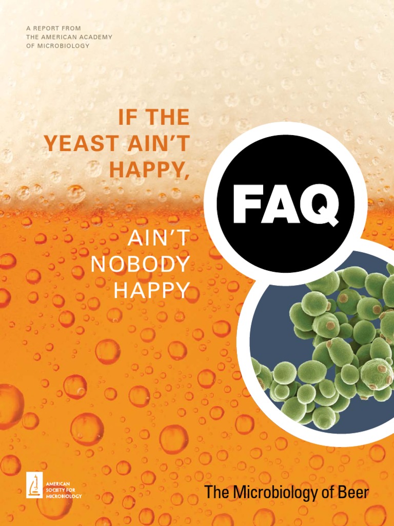 Microbiology of Beer Brewing Beer