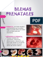 Problemas Prenatales