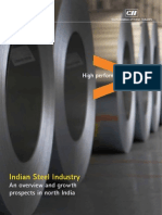POV Steel Development Online